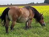 Bild 015